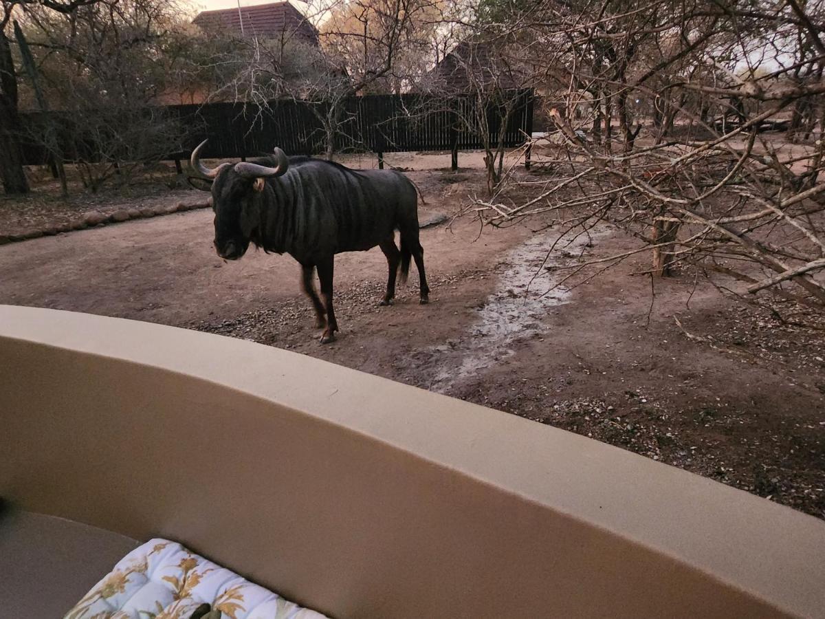 Ferienwohnung Kudus Crest Bush Retreat Marloth Park Exterior foto