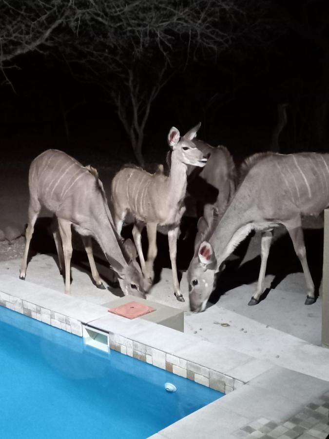 Ferienwohnung Kudus Crest Bush Retreat Marloth Park Exterior foto